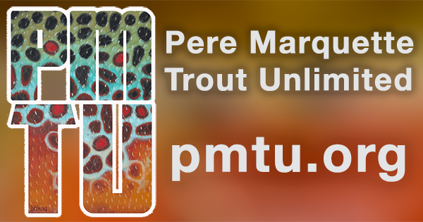 www.pmtu.org